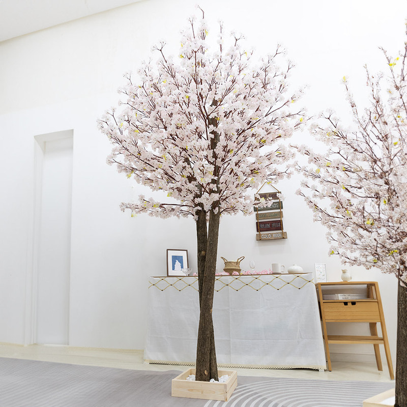 프리미엄벚꽃나무 250cm플라워트리